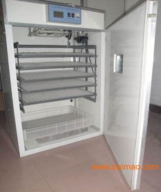 湖南土雞孵化設(shè)備 小型孵化機(jī) 永州土雞孵化設(shè)備,湖南土雞孵化設(shè)備 小型孵化機(jī) 永州土雞孵化設(shè)備生產(chǎn)廠家,湖南土雞孵化設(shè)備 小型孵化機(jī) 永州土雞孵化設(shè)備價格