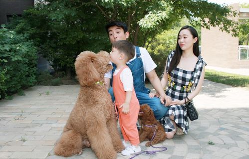 狗狗當“家教” 萌寵叼衣架監督小主人寫作業，神似操心老母親